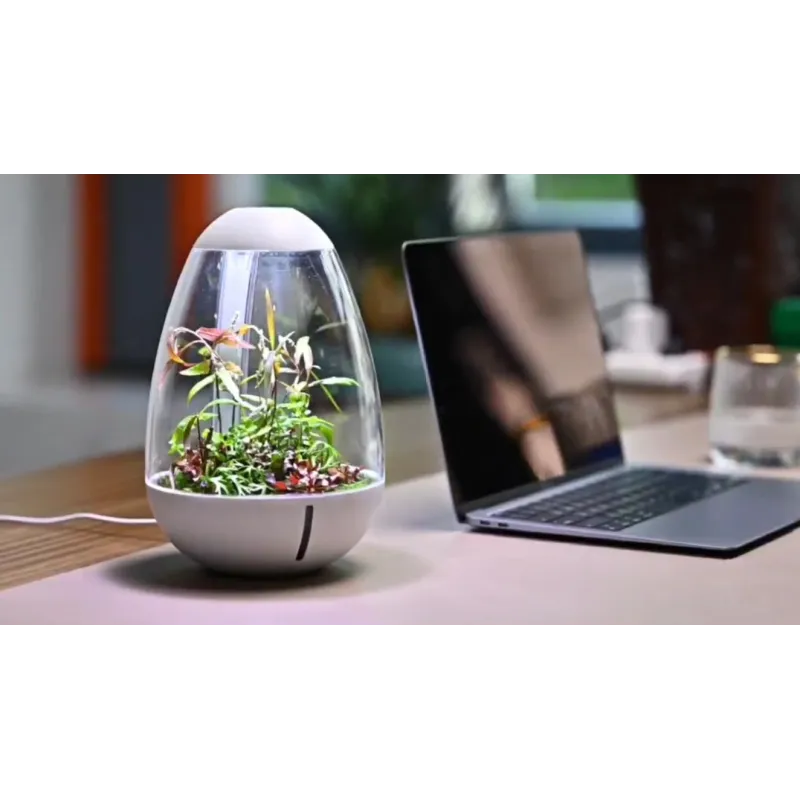 Mini Terrarium Oeuf