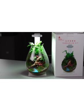 Kit Terrarium Chihiros - terrarium kit