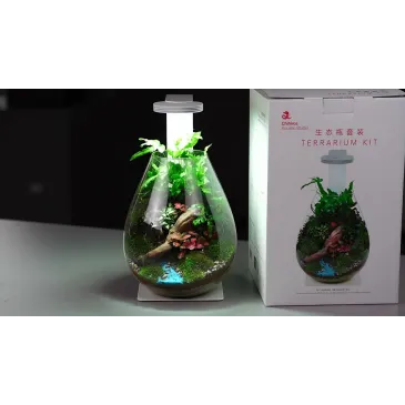 Kit Terrarium Chihiros