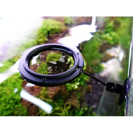 Anneau de nourrissage flottant avec ventouse pour poissons ou plantes