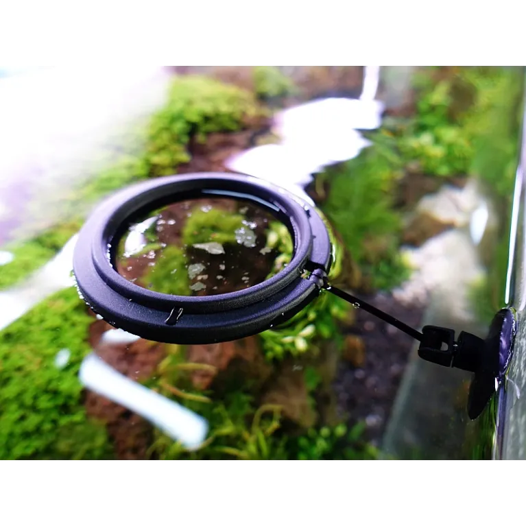 Anneau de nourrissage flottant avec ventouse pour poissons ou plantes