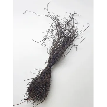 Fagots de Muehlenbeckia Séché pour Terrascaping