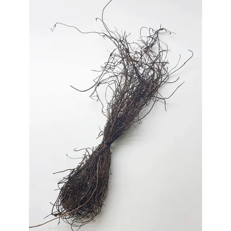 Fagots de Muehlenbeckia Séché pour Terrascaping