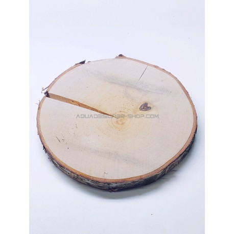 Disque de Bois en Bouleau Naturel (23-25cm x 2.5cm)