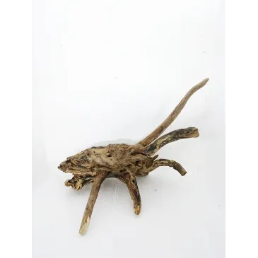 Racine river wood M05