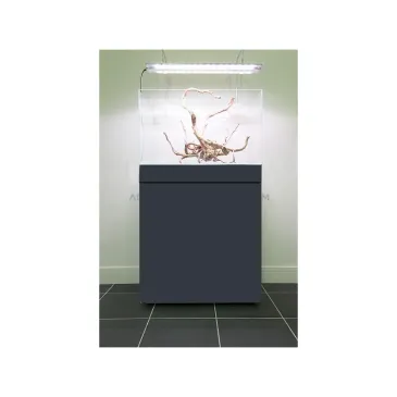 Meuble aquarium ADS STAND antracyt 60x40x80