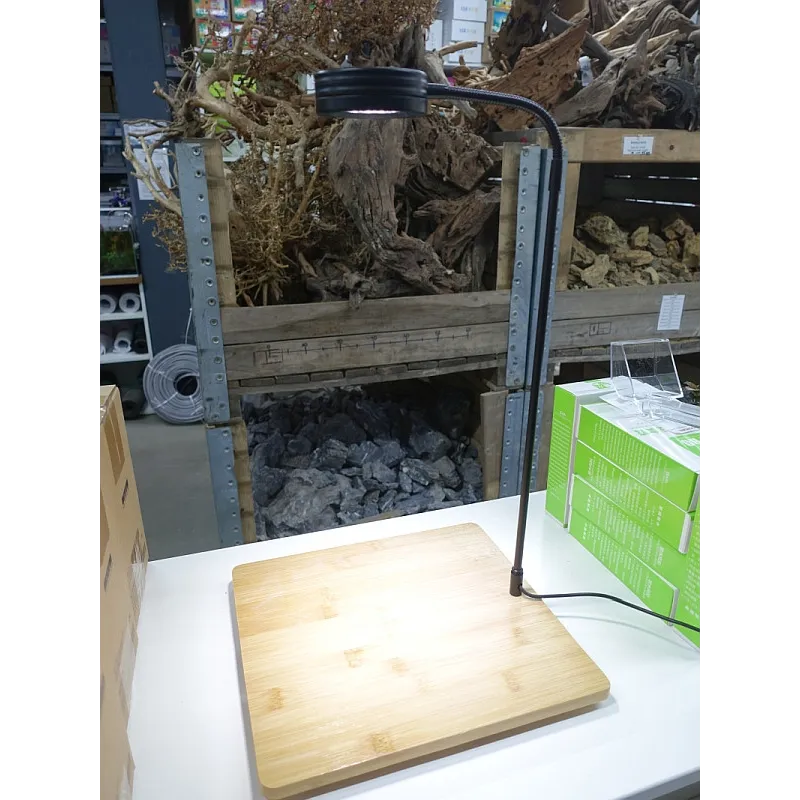 LED Full Spectrum 7w Aquascape Prestige avec Base en Bois