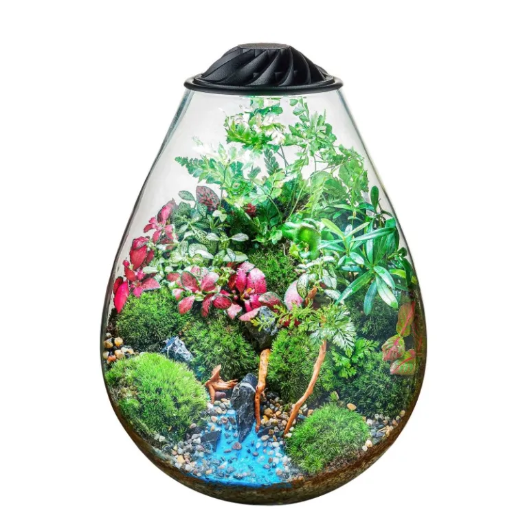 Chihiros Eco Ping - Terrarium Complet