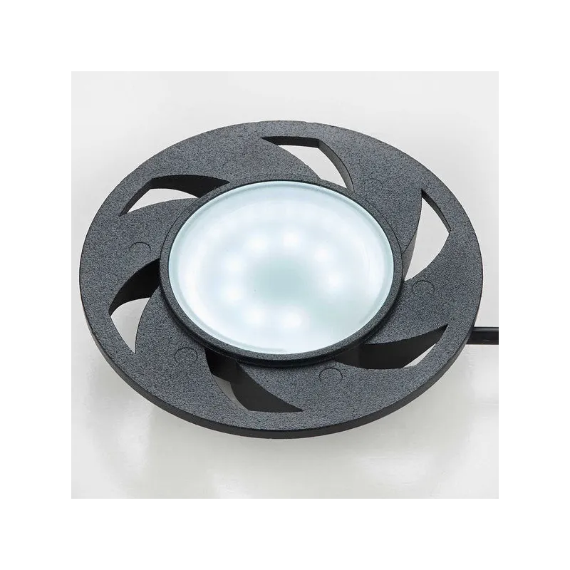 Chihiros Eco Ping - Terrarium Complet