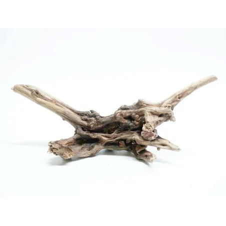 * Racine river wood S