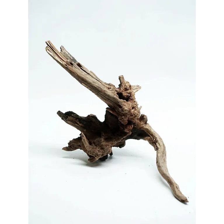 * Racine river wood S