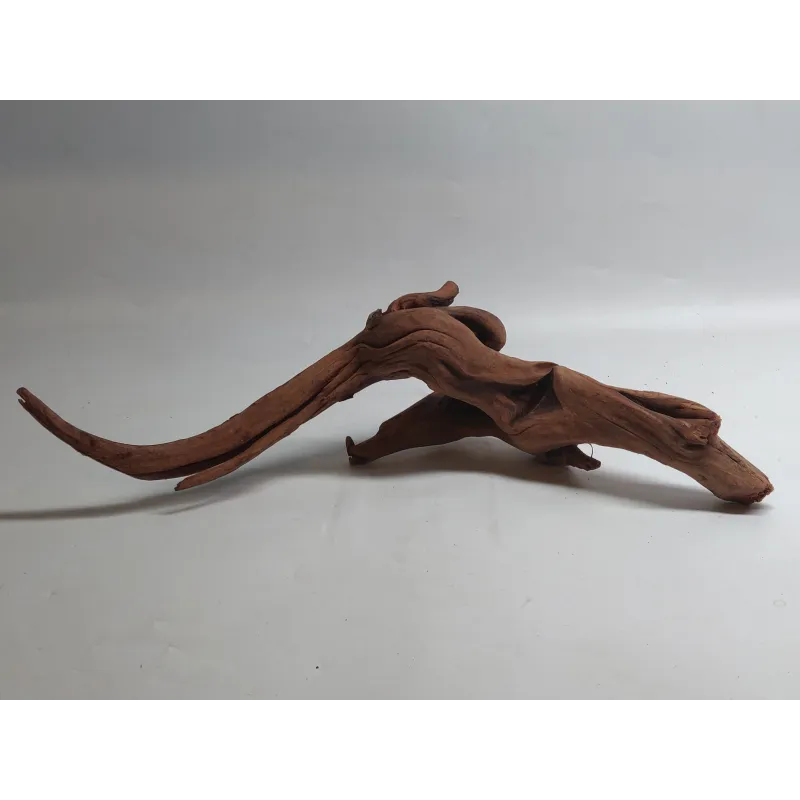 * Racine river wood XS