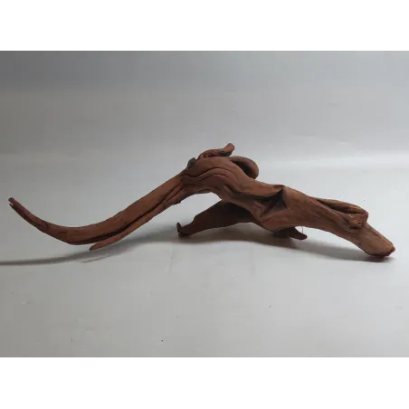 * Racine river wood XS