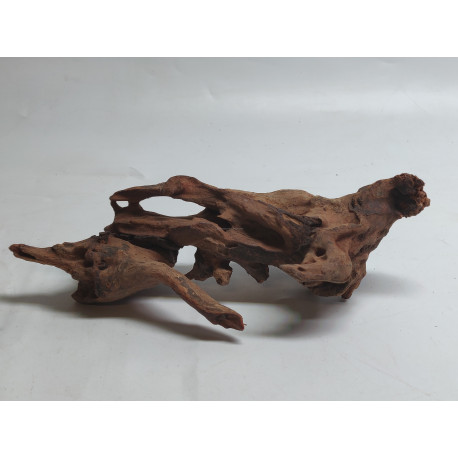 * Racine river wood XS