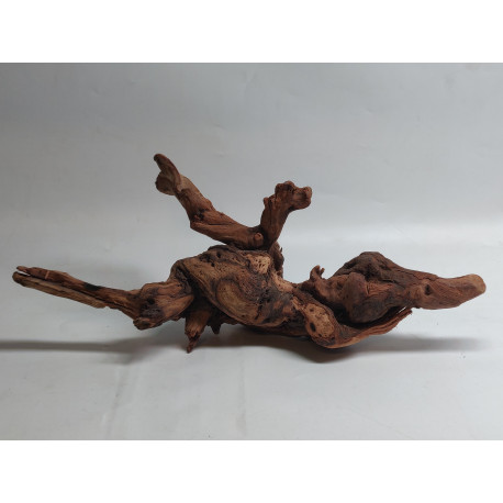 * Racine river wood XS