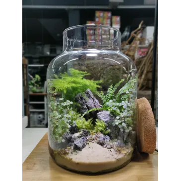 Terrarium avec Bouchon de Liège