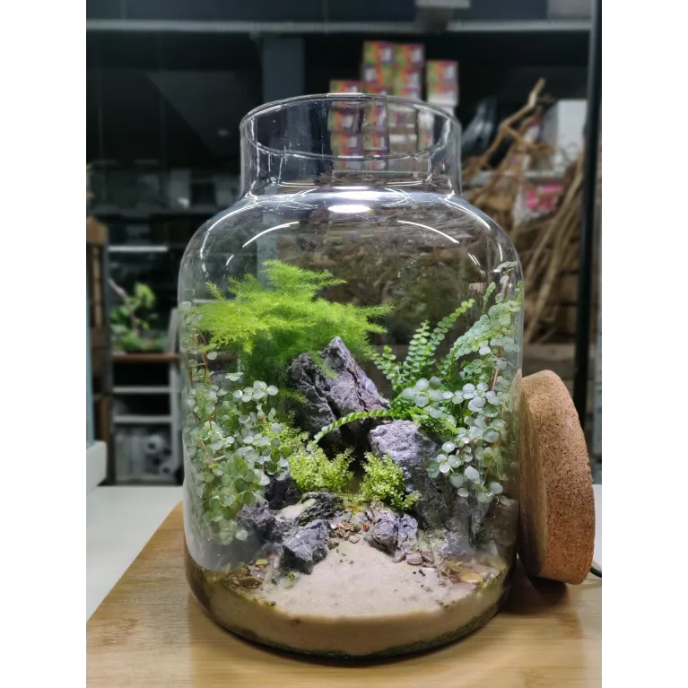Terrarium avec Bouchon de Liège