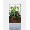 DOOA Glass Pot MARU 130