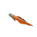 Stiphodon rutilaureus