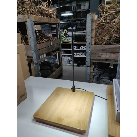 Mini LED 3w Aquascape avec Base en Bambou