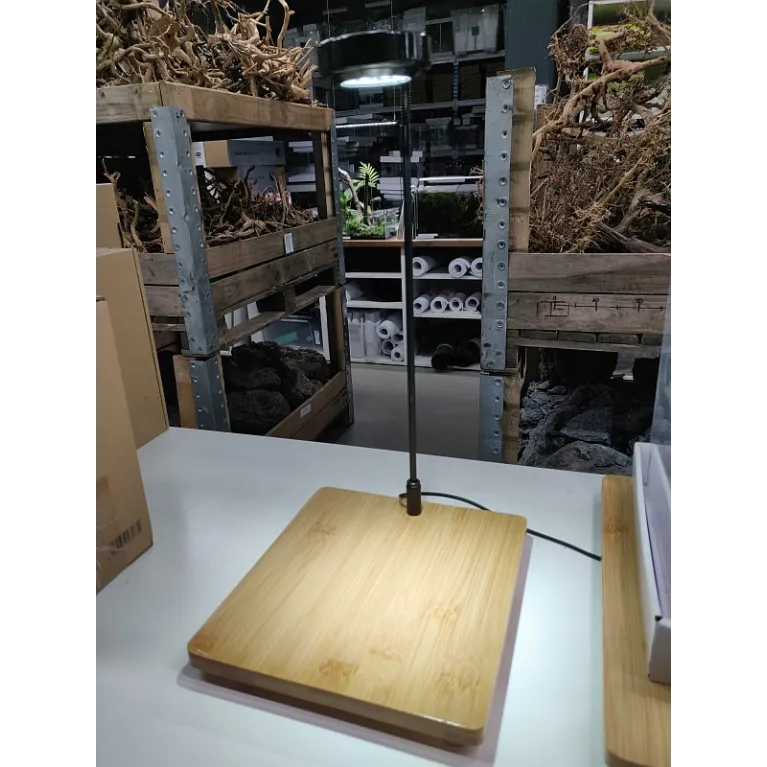 Mini LED 3w Aquascape avec Base en Bambou