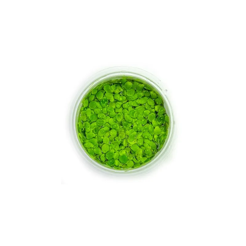 Spirodela Polyrrhiza in vitro