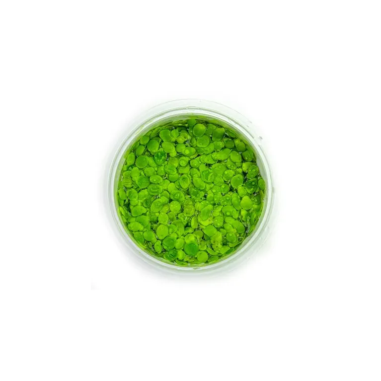 Spirodela Polyrrhiza in vitro