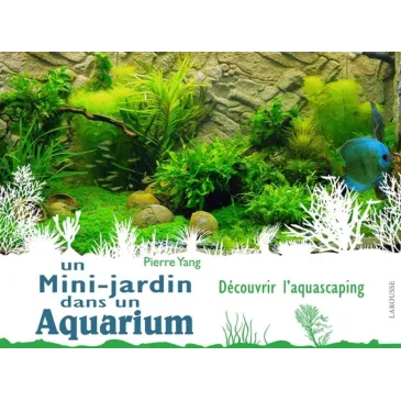 Un Mini Jardin dans un Aquarium - Pierre Yang