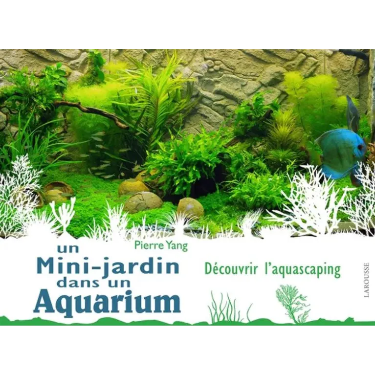 Un Mini Jardin dans un Aquarium - Pierre Yang