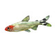 Hemigrammus rhodostomus