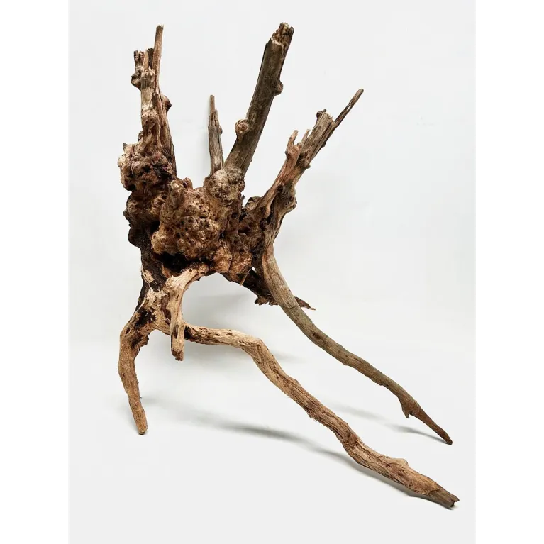 Racine river wood M03