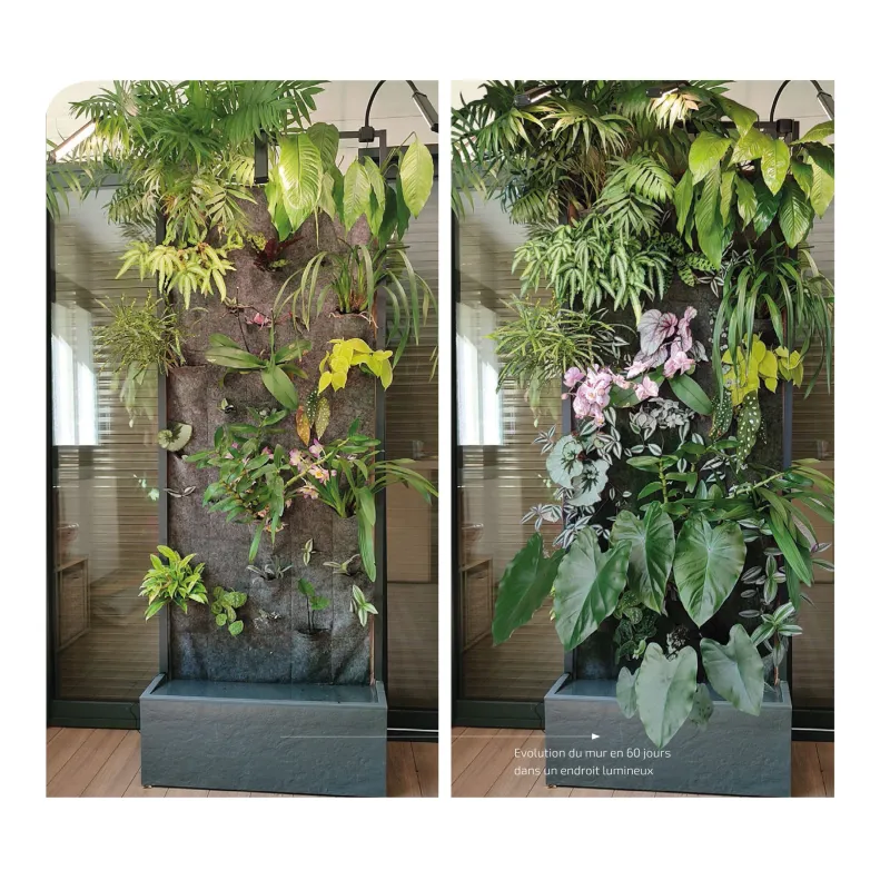 BIOPONIC MUR Végétal 80x30x220cm