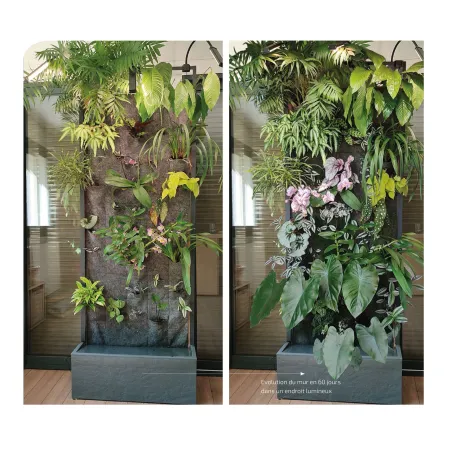 BIOPONIC MUR Végétal 80x30x220cm