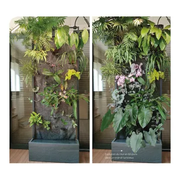 BIOPONIC MUR Végétal 80x30x220cm