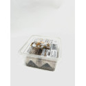 Nourriture vivante grillon acheta domestica subadult