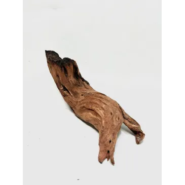 Racine river wood S02