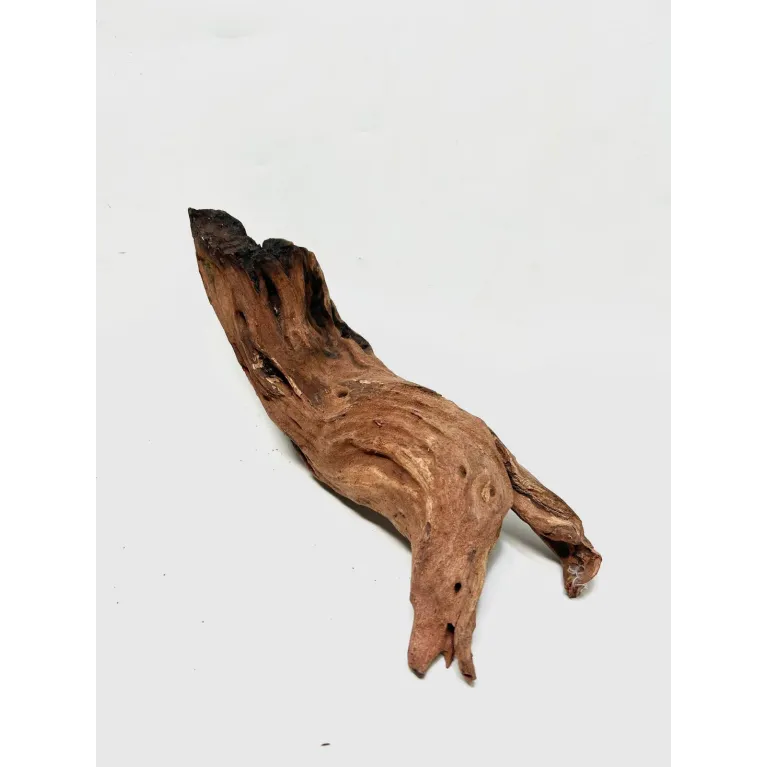 Racine river wood S02