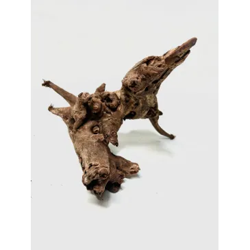 Racine river wood S07