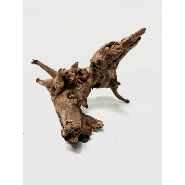 Racine river wood S07