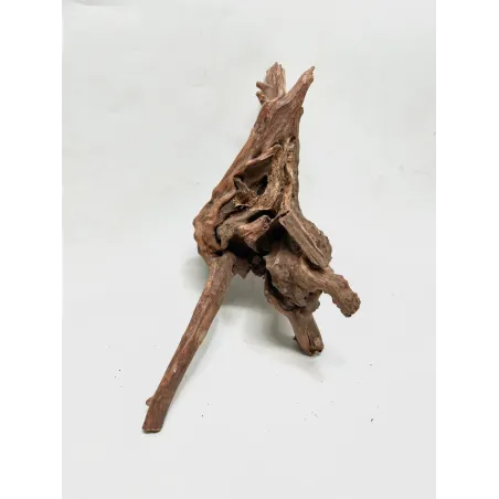 Racine river wood S09