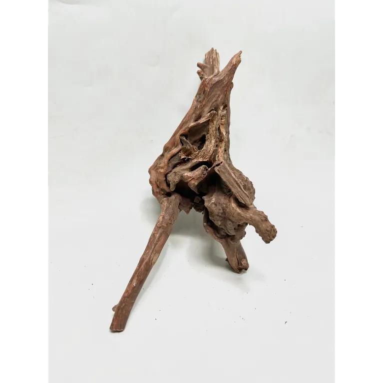 Racine river wood S09