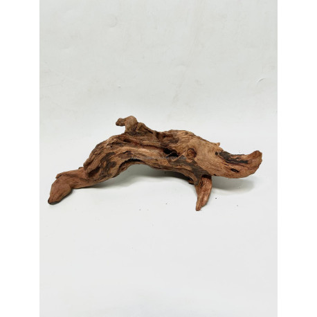 Racine river wood S19