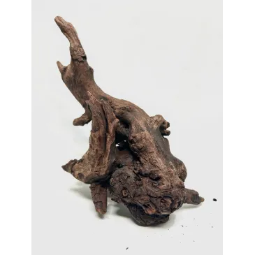 Racine river wood S23