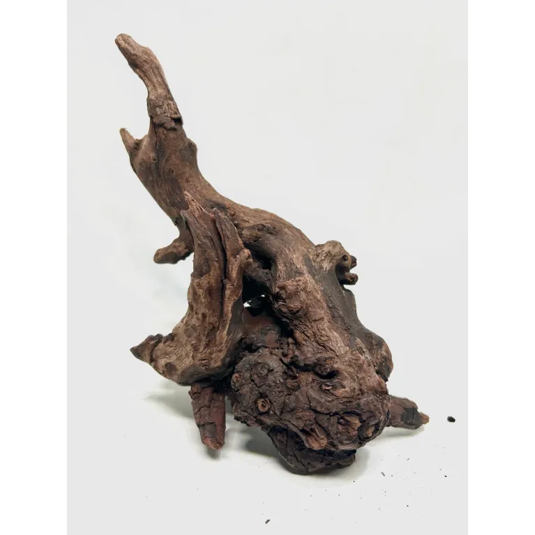 Racine river wood S23