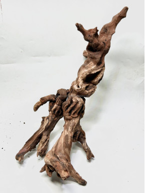 Racine river wood XL07