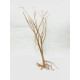 Baby tree 02