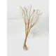 petit arbre 04