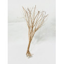 Baby tree 03