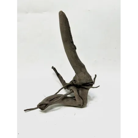 Racine Black Forest S02