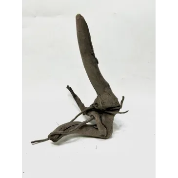 Racine Black Forest S02